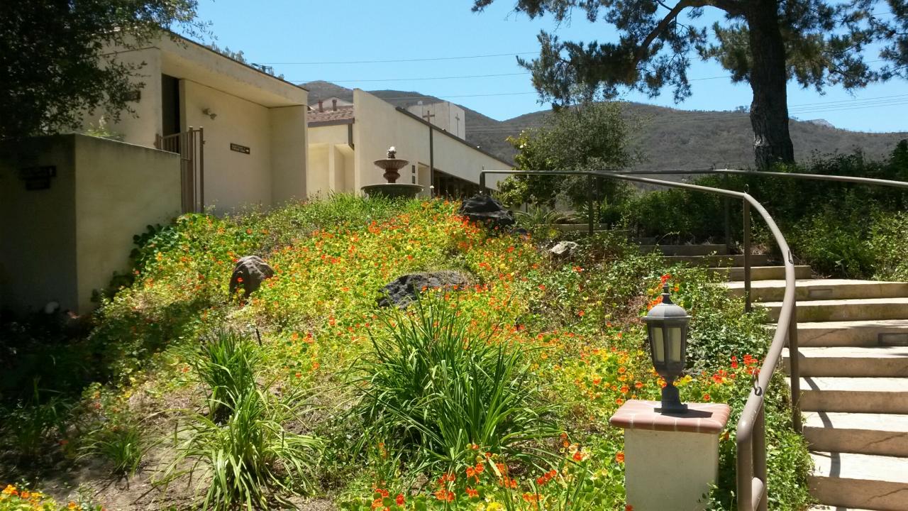 20140619_121825_resized.jpg
