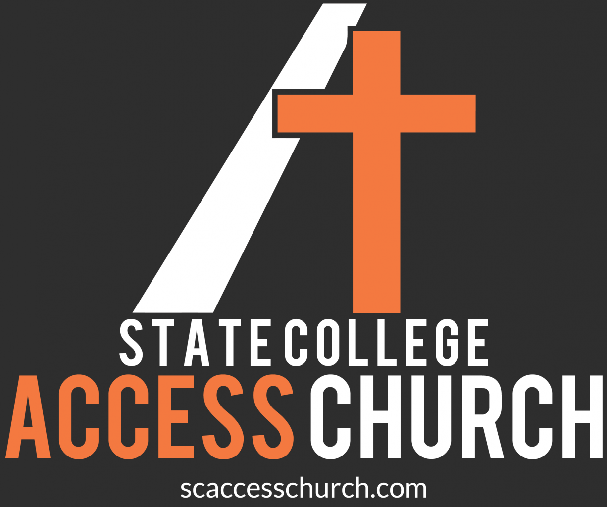 access_stacked_sc_website_gray.png