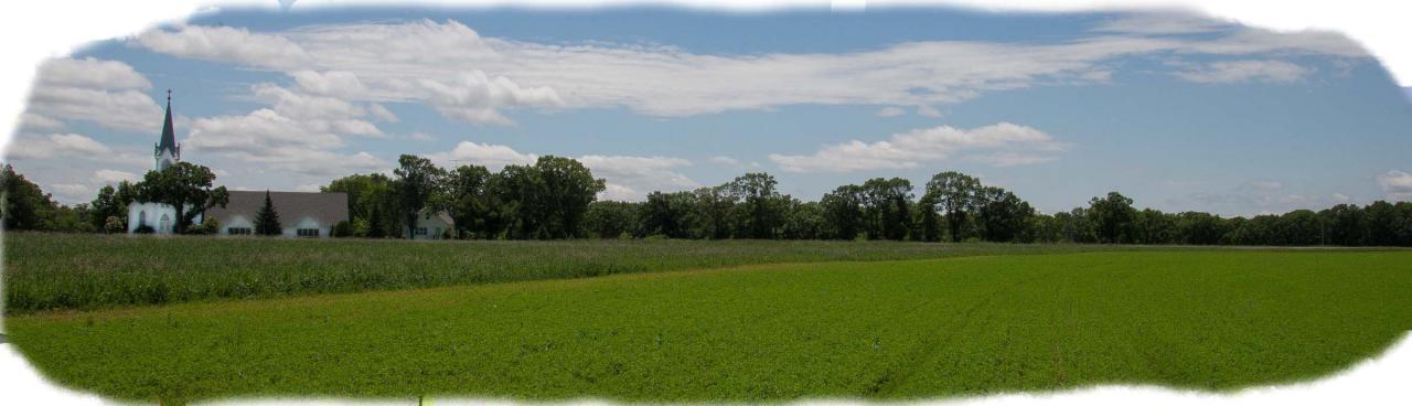 _aaa1853_verdant_field_edited-1.jpg