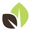 lifepoint_logo_leaves_small.png