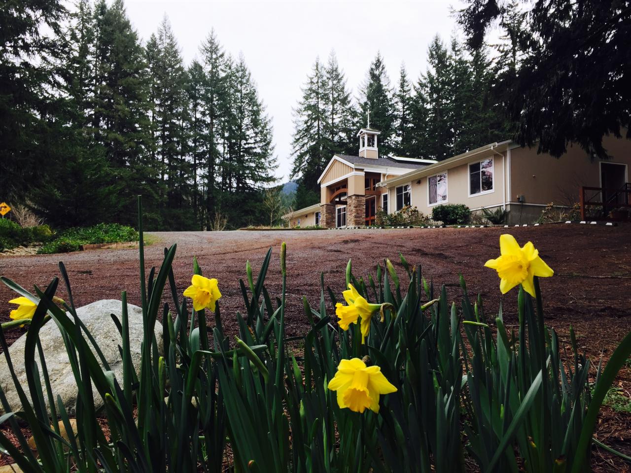 daffodils_church.jpg