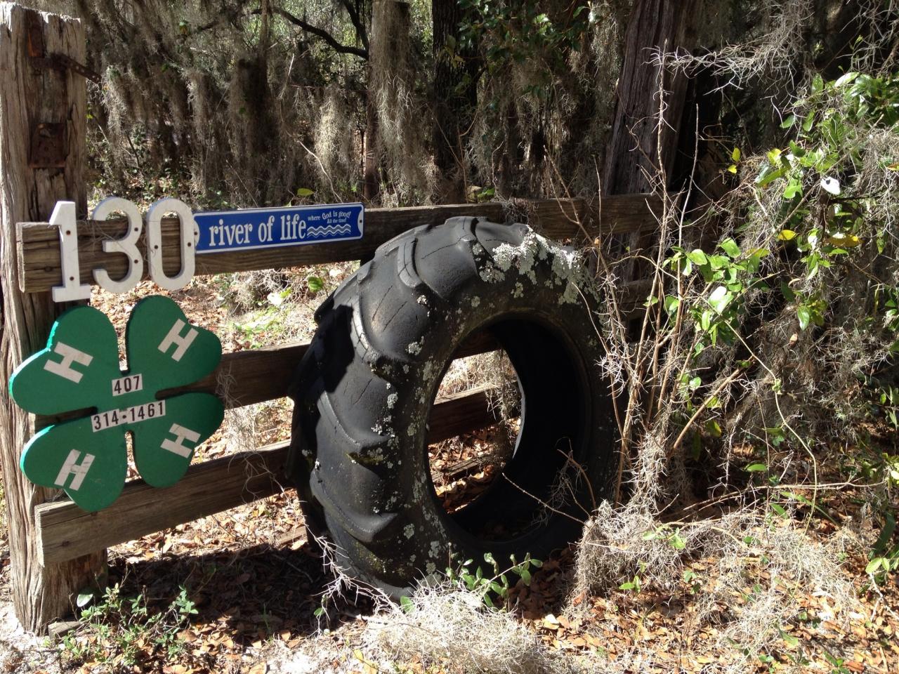 roadfence.jpg