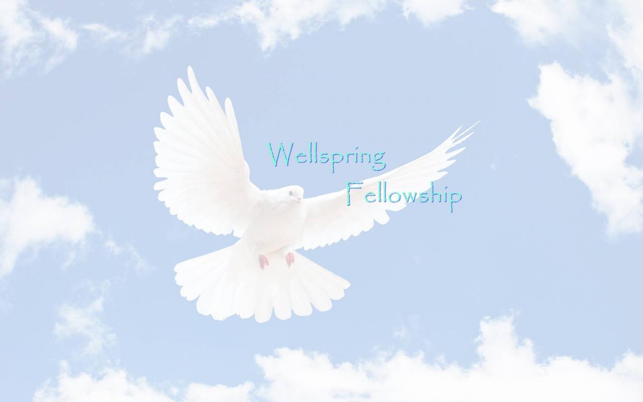 wellspring_picture.jpg