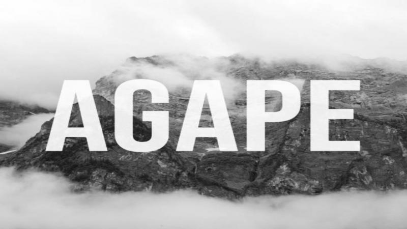 Agape - Bible study for career aged adults - 7pm Friday.