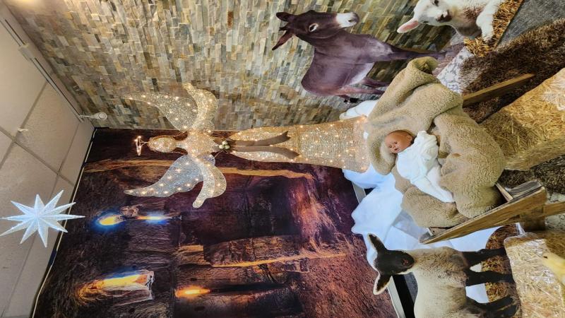 Christmas Manger Scene