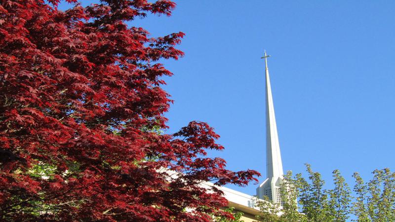 Our steeple against a glorious summer sky