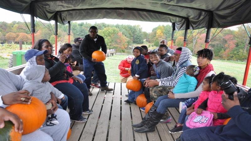 Hayride at the Fall Festival
